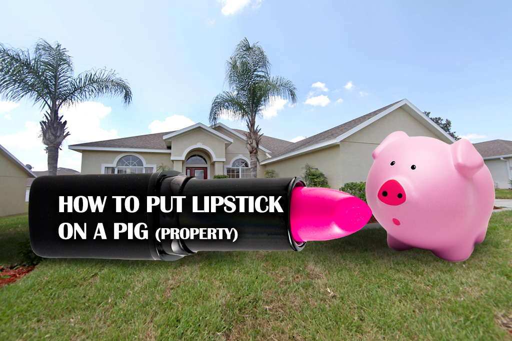 What Does Putting Lipstick On A Pig Really Mean Lipstutorial Org