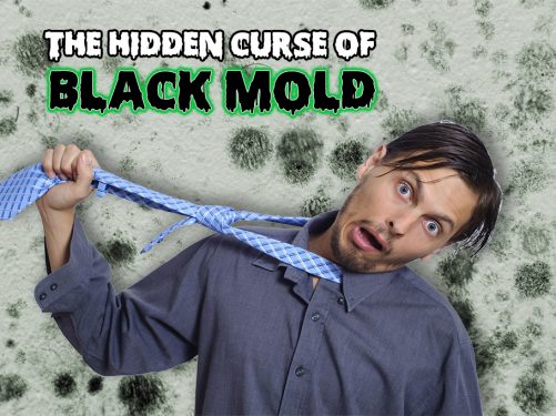 Black Mold: Real Estate Investing’s Hidden Curse!