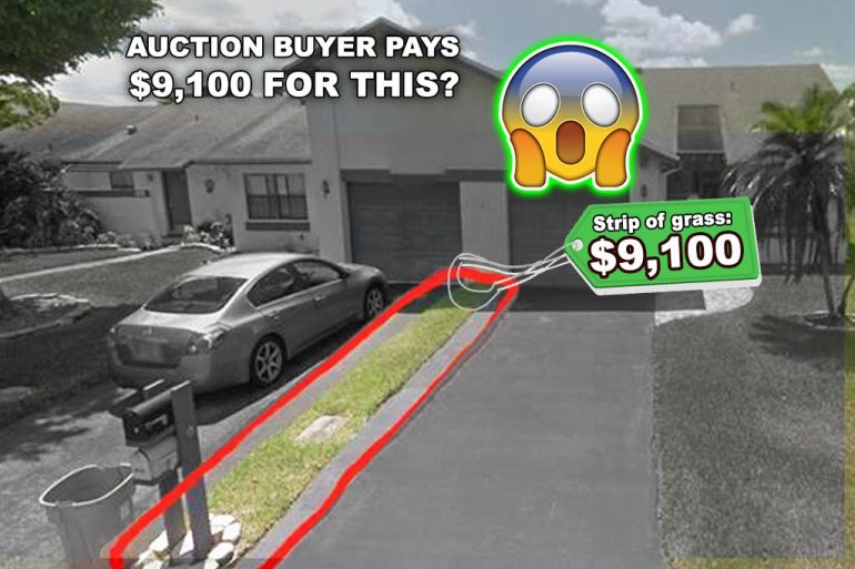 Auction Buyer Pays $9,100 for Property, then Discovers it's a 1 Foot Wide Grass Strip Worth $50!