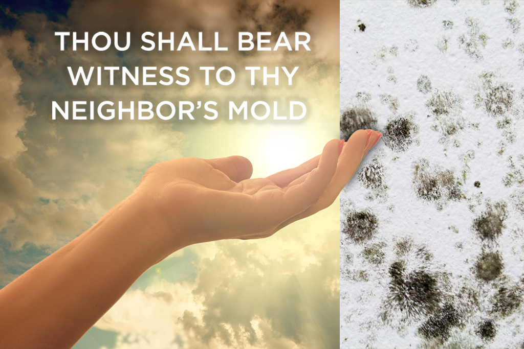 Thou Shall Bear Witness to thy Neighbor’s Mold in Condo