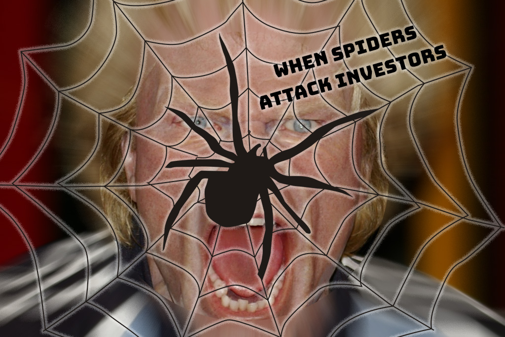 Palm Beach Land: Spiders Attack Contractor