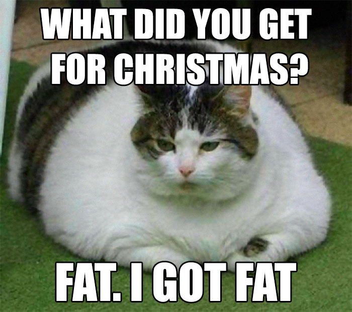 Memes  Christmas-memes-122-5bfd393d4be0d__700