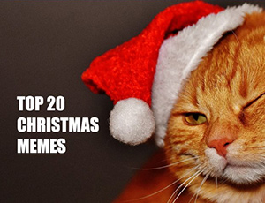 Top 20 Christmas Memes