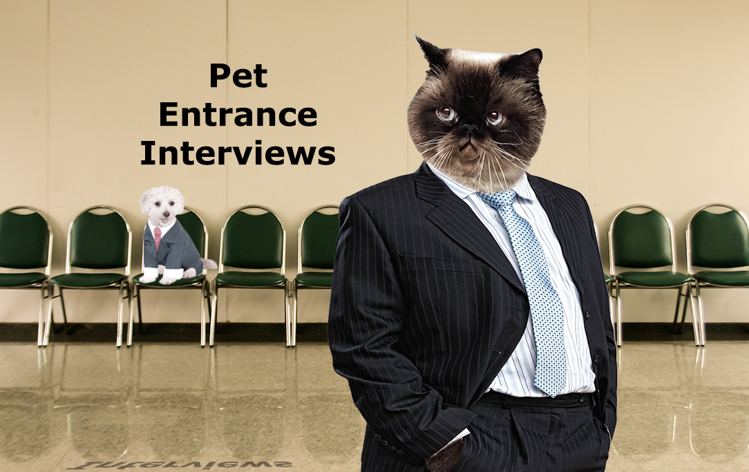 Pet Entrance Interviews – PropertyOnion