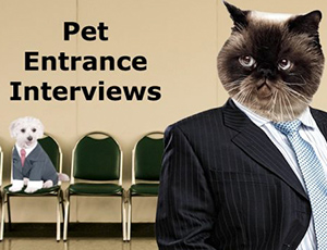 pet entrance interviews