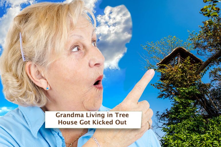Grandma Living in Tree House Got Kicked Out