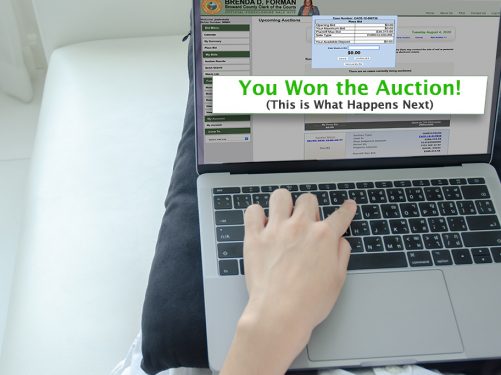 You won the auction, here's what happens next
