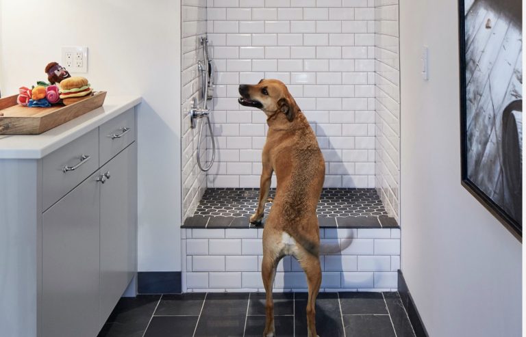 dog shower outside tap