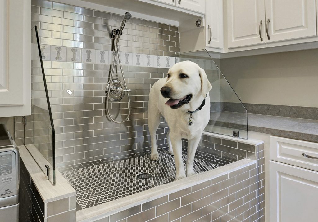 Dog Shower Design 3