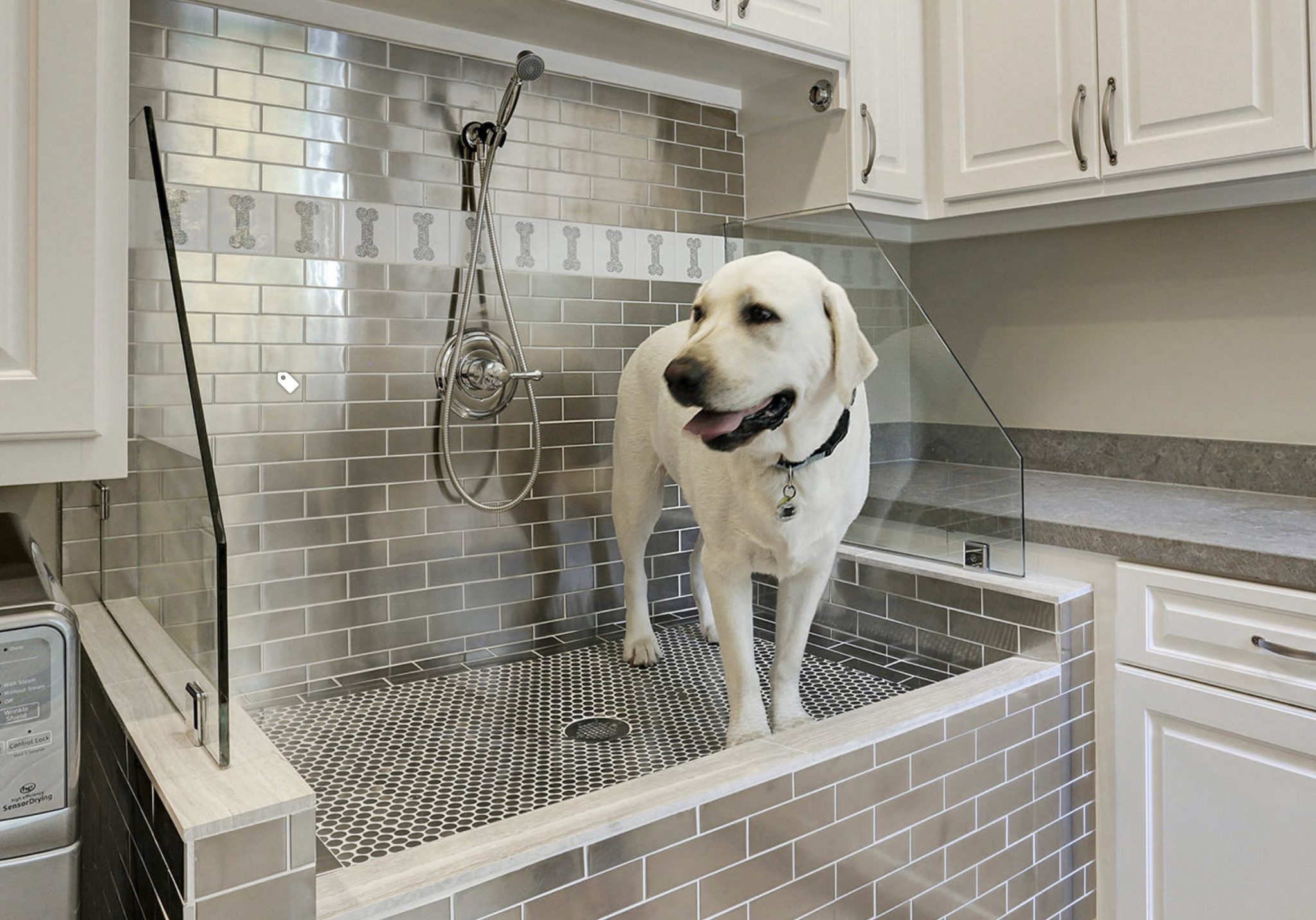 Add a Dog Shower to your next Flip... Here's Why! PropertyOnion