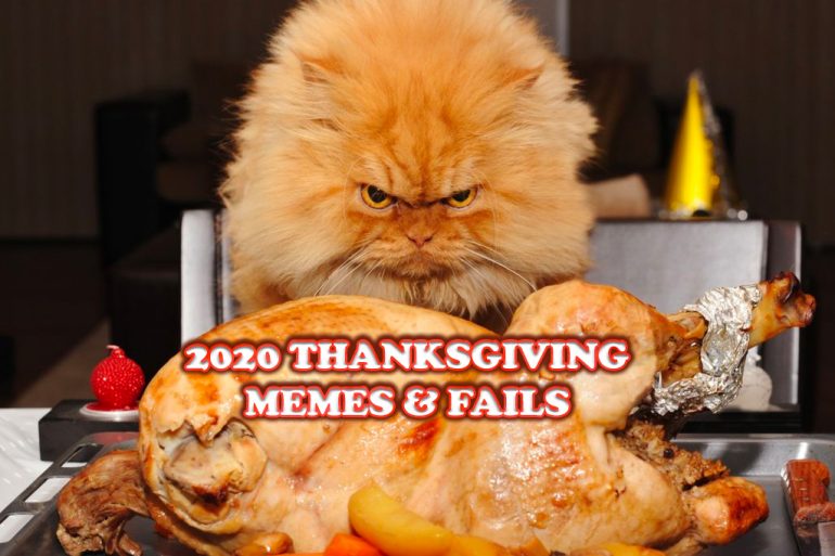 funny thanksgiving memes and fails