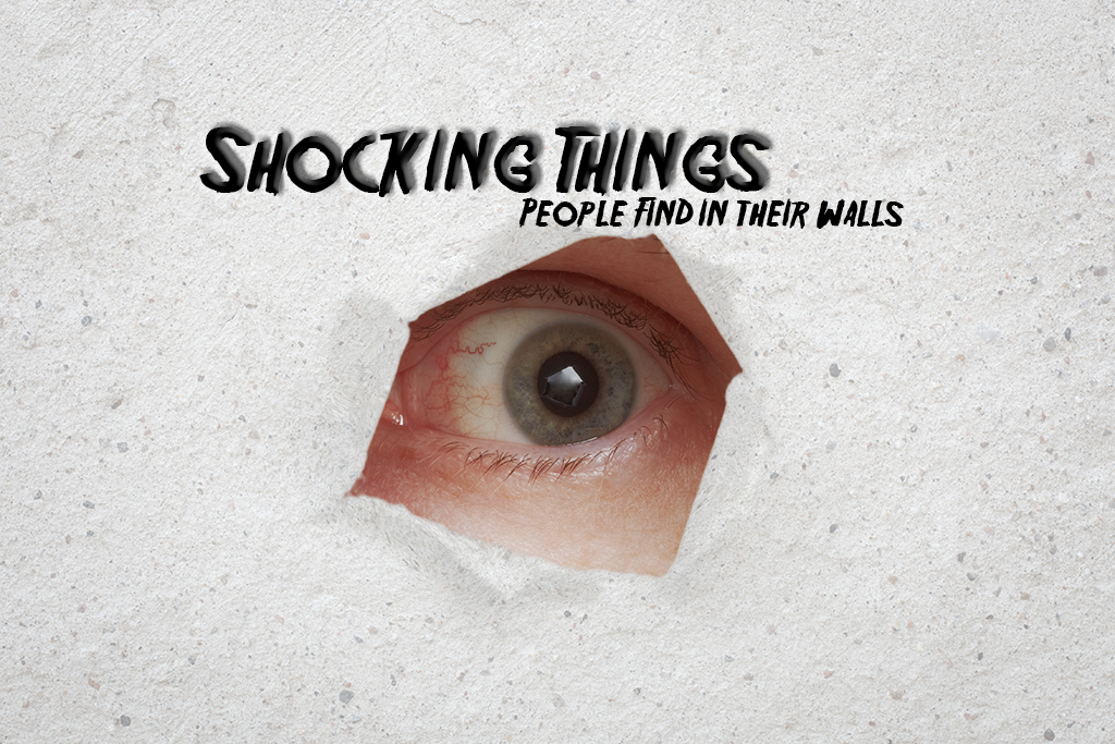 Shocking Things People Found in their Wall in the Last Decade