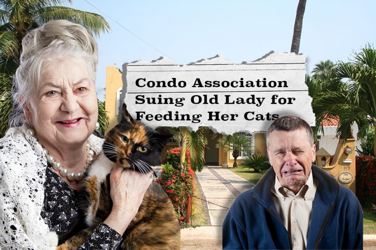Condo board suing Florida woman over feeding of stray cat