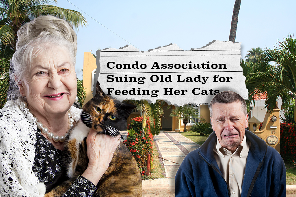 Condo Board Sues Poor Old Lady for Feeding her Cats!