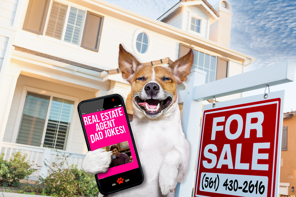 Real Estate Agent Dad Jokes
