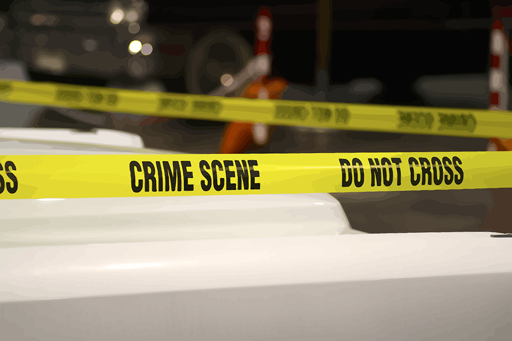 15 Year Old Kills Real Estate Agent PropertyOnion